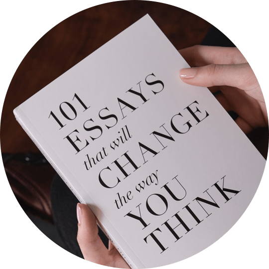 Squirrel in The Schooll By Nimal Malhothra - Image 3